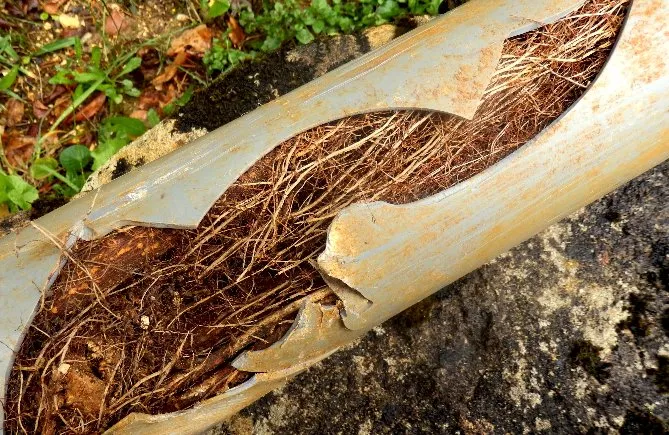 Rohrreinigung Prozess